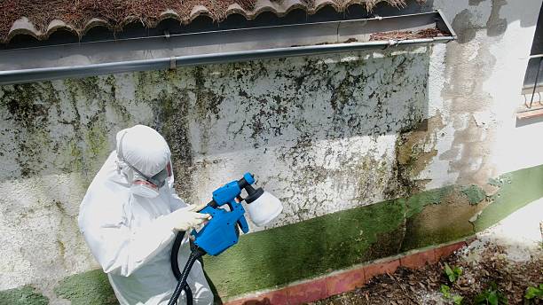 Trusted Mold Remediation service in Lebanon, VA - Cheap Mold Removal
